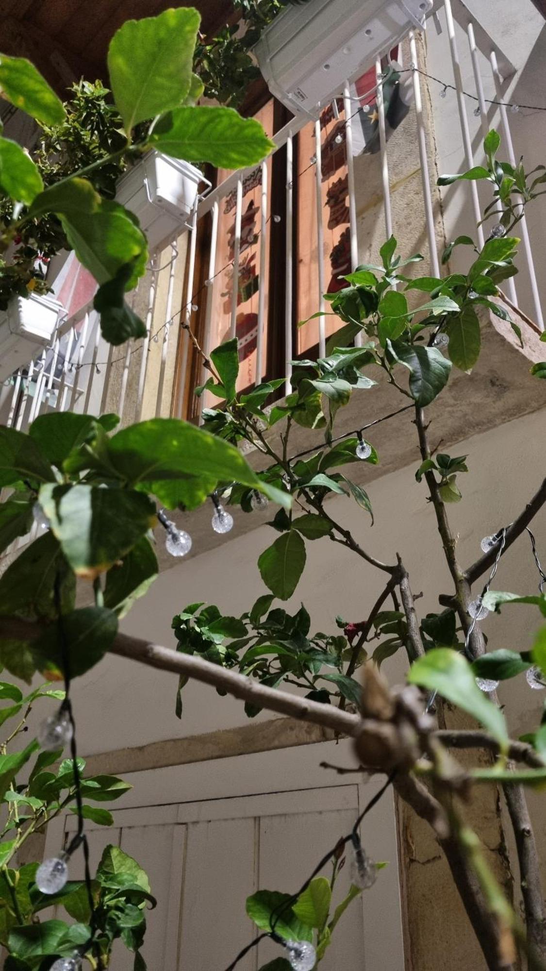 In Parva Domus Appartement Bitonto Buitenkant foto